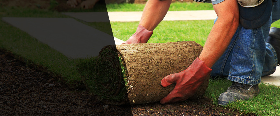 Minneota Landscapers